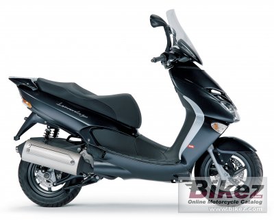 2006 Aprilia Leonardo 300 photo